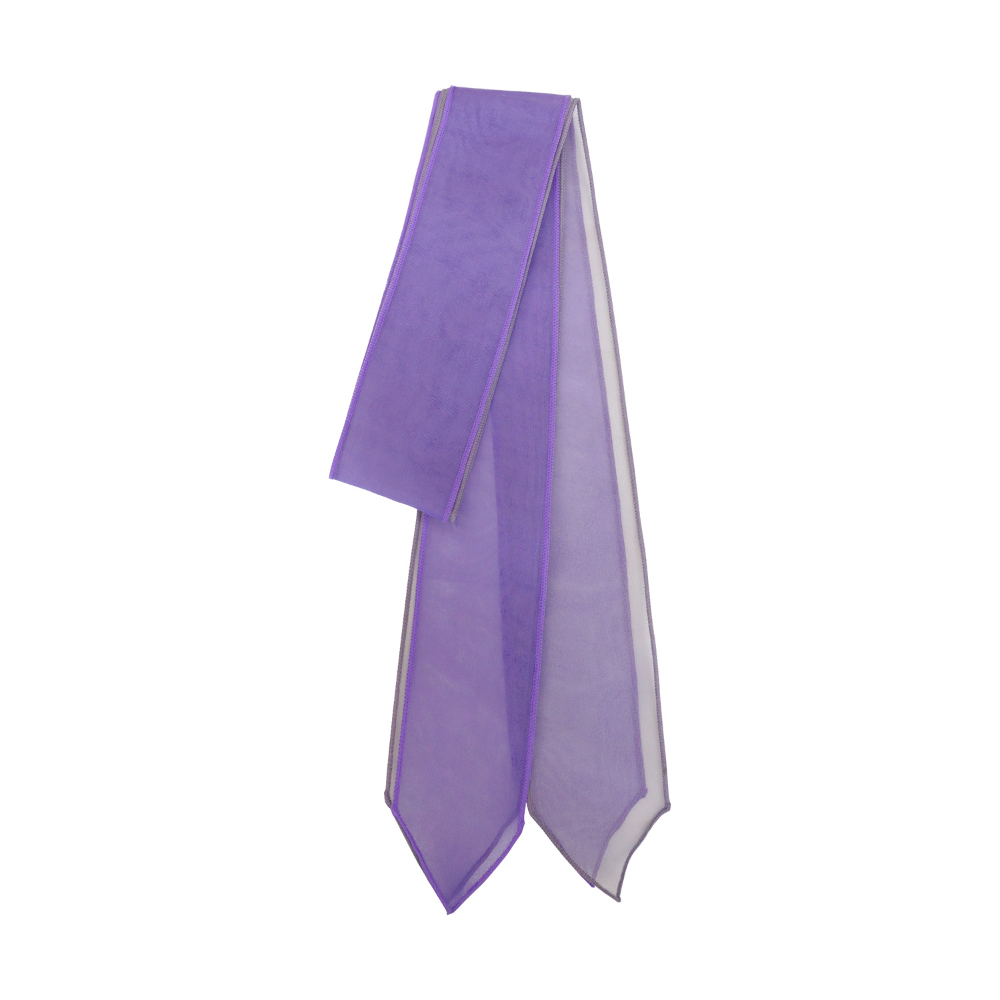 accessories violet color image-S43L3